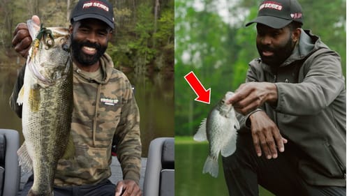 is crappie fishing BETTER THAN BASS FISHING?...