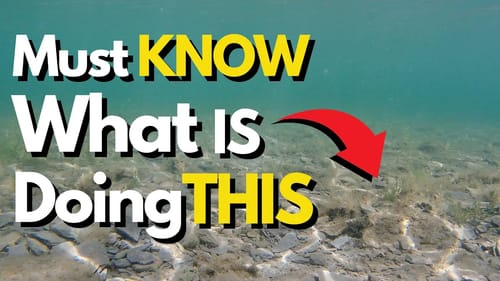 Be Ready for ARM-RIPPING Strikes When You See This | Bass Fishing Tips