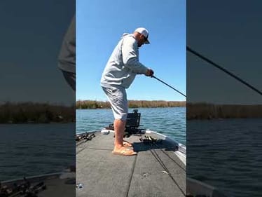 🎣 This Swimbait Catches Bass Year Round! Have You Tried It Yet? 🎣