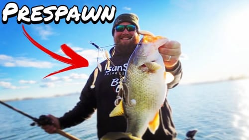 Catching Prespawn Bug Eyed Beauties ft. Brent Cline | Springtime A-Rig Bass Fishing | Vlog #16