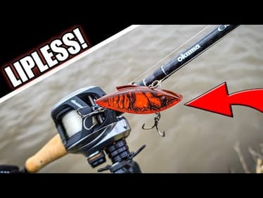 Spring Bank Fishing with a Red Lipless Crankbait (SAVED MY NIGHT!)