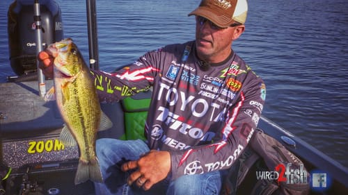 How to Find and Catch Prespawn Bass Off the Bank