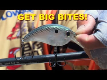 Top 5 September Bass Fishing Baits | Cliff Pirch’s Fall Transition Must-Haves | Bass Fishing