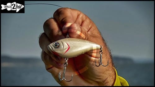 How to Master Depth Control With Lipless Crankbaits