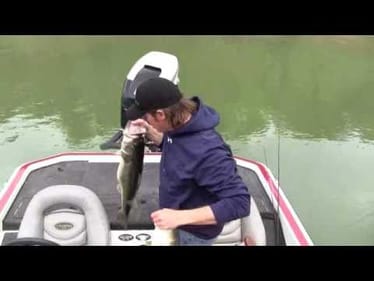 11 lb Largemouth Bass