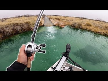 Backwater Mini Creek TEEMING With Fish -- (Big Send Part 2)