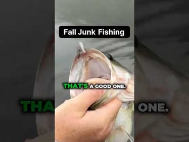 Fall Junk Fishing