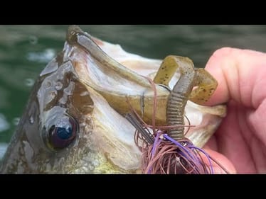 10 Minutes Of Straight Up Jig Fishing Juice…