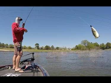 Bass Fishing Shallow Spring Search and Approach