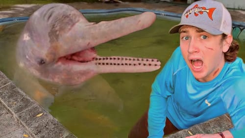I Found Dolphins in an Abandoned Pool!