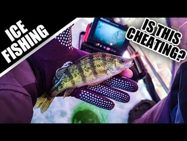 Ice Fishing for Perch with Underwater Camera