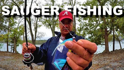 How To Catch Sauger! Sauger Fishing Tips, Technique, Setup & More!