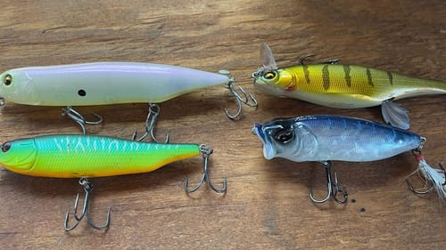 Triple Your Topwater Bites With This Color Secret