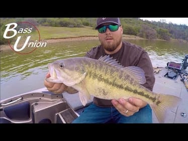 Catching Pre-Spawn Bass On A Spinner Bait In The Spring Like A Wanna Be KVD(Kevin VanDam)