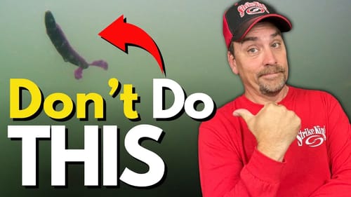 INSTANTLY Improve Your Texas Rig Worm Fishing