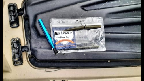THE ONLY BAIT YOU NEED TO CATCH BASS  || WACKY RIG ||