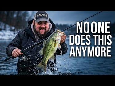 Why This Abandoned Bait Still Dominates Winter Fishing