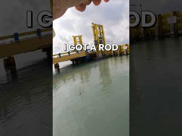Catching a Lost Fishing Rod Under This Bridge #fishing #fishingvideos