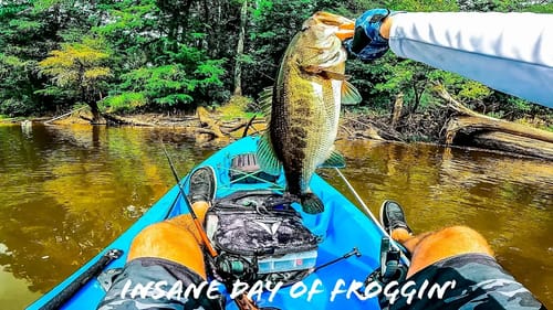 Catching GIANT BASS During RECORD LOW WATER Conditions!!
