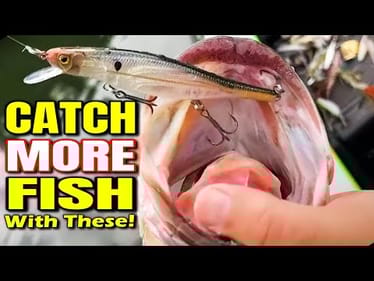 Want to CATCH MORE FISH? Watch This Now!