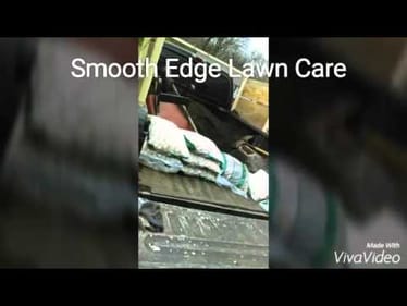 small landscape job and tree removal