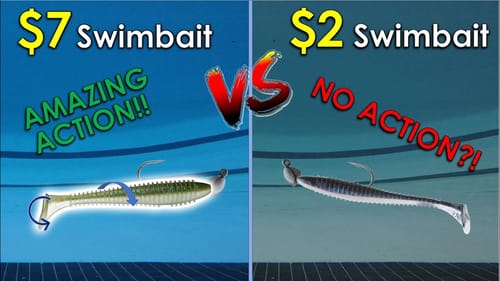 Testing Swimbaits in 13ft Olympic Pool | Eye-Opening Results