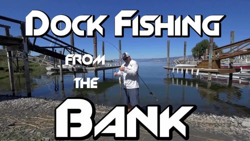Bank Fishing: How to Catch Every Bass Under a Dock