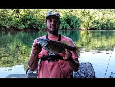SMALL MOUTH BASS Can't Resist This BAIT      |HOLSTON RIVER|