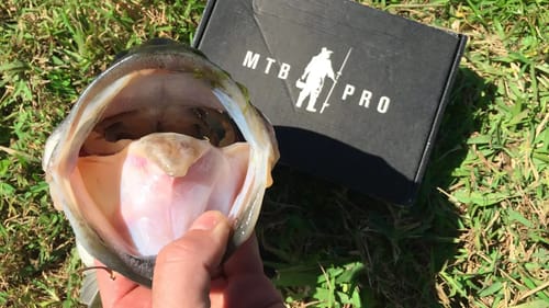 MTB Florida Big Bass SLAM ft. 1Rod1ReelFishing