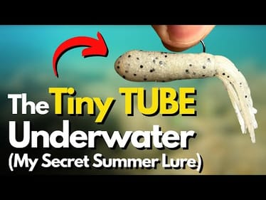 Take ADVANTAGE Of This Forgotten Finesse Lure (3 Key Factors WHY It Excels)