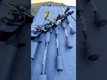 Rigged & Ready 🔥