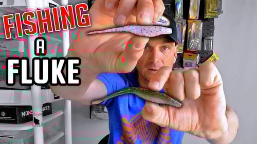 The ONLY Lure you NEED to Catch Bass: FLUKE Fishing