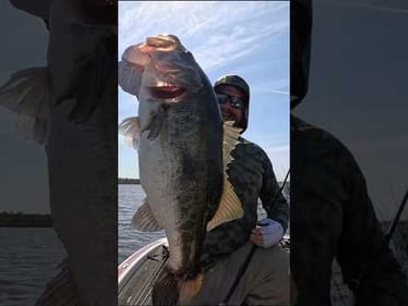 What Bait Did This GIANT Bass Eat? (Answer In The Description) 🤫