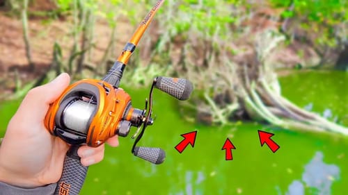 WE FOUND THE BIG BASS! (Hidden Creek Fishing)