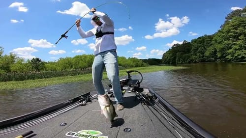 Big Bass on a Frog!!! #shorts