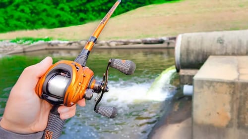 This TROPHY Lake is LOADED w/ BIG Bass (Spring Fishing)