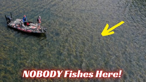 3 Simple Tips To Dominate Grass Fishing!
