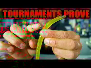 Tournaments PROVE Pros are using this Worm Secret to WIN