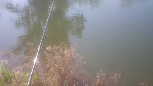 Fort Washington Beach Bass Fishing