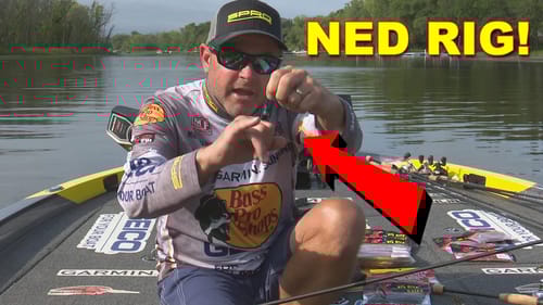 Bank Bass Fishing The Ned Rig with Mike McClelland | Bass Fishing