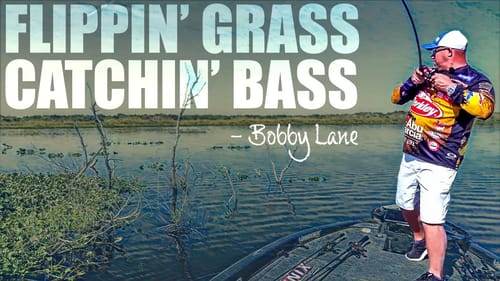 Is BIGGER Always BETTER when Flipping for Bass?