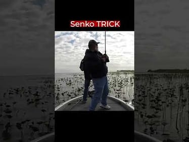 DON'T Forget To Add Some BLING to Your SOFT PLASTICS