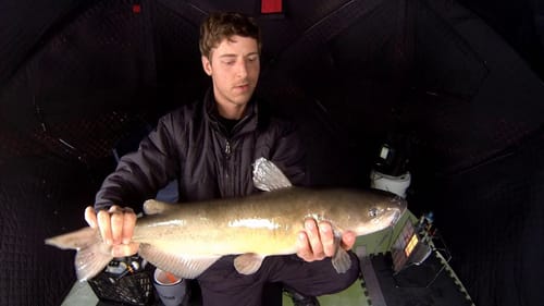 Ice Fishing For Big Catfish 12-23-2012