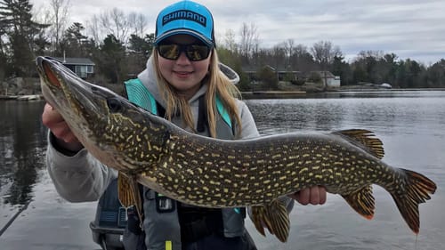 Chasing Early Spring Big Pike!! (This Bait Always Works)