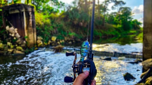 Fishing Secret Hidden Spillway For Saltwater Fish