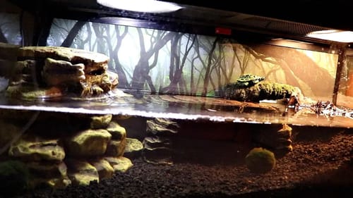 New Pet Turtle Tank!!