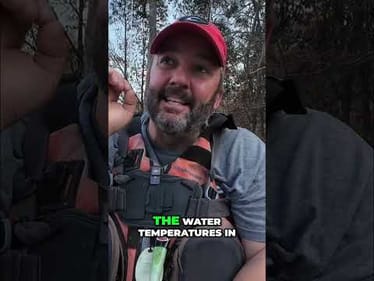 Fall Bass Fishing: Shad Migration & Water Temperature Secrets #shorts