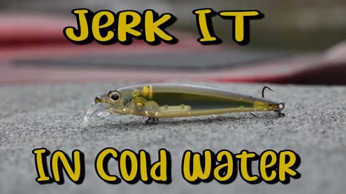 Where You Should Jerk It In Early Spring