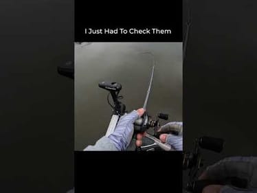 I Almost Missed This BASS