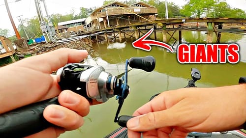 These $40,000 Fish DESTROYED My Boat!! (Tournament DISASTER)